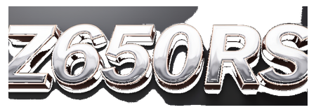 z650rs logo